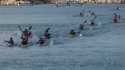 0_2346870_12663.jpg