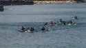 0_2346871_12663.jpg