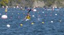 0_2356721_12663.jpg